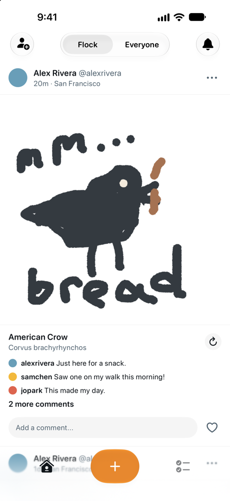 Bird’s flock feed, with shared bird sketches and comments